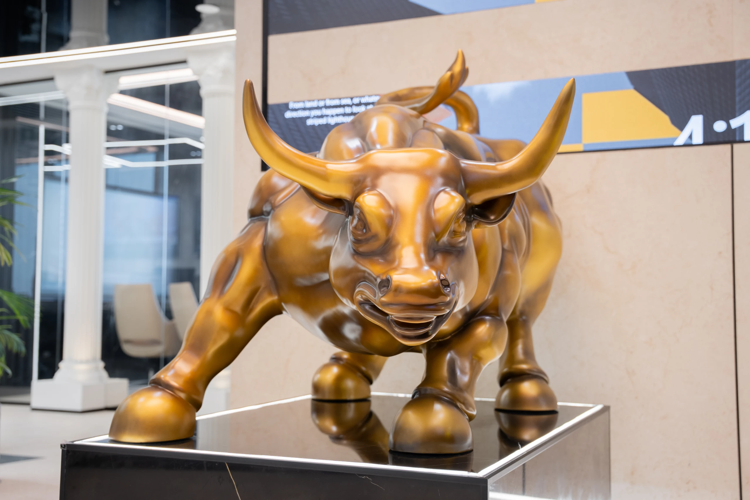 Bull — Close Up
